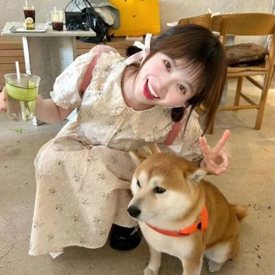 雌雄双谍